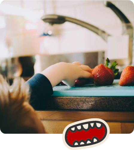 Digestion & happy tummies