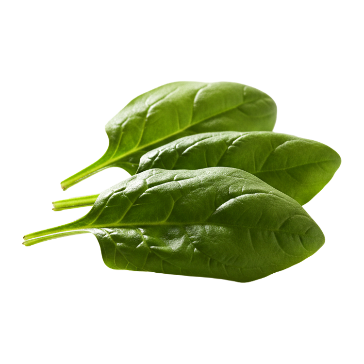 Spinach