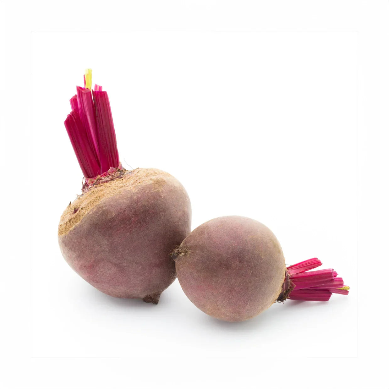 Beetroot
