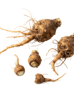 Inulin from chicory root