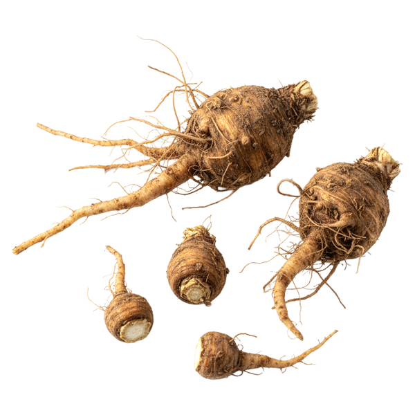 Inulin from chicory root