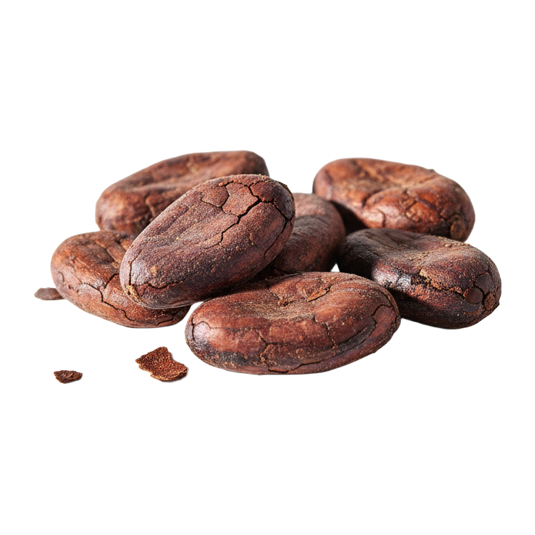 Cocoa