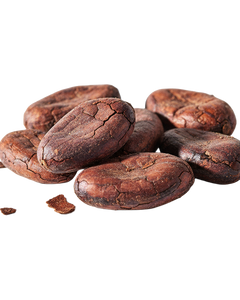Cocoa
