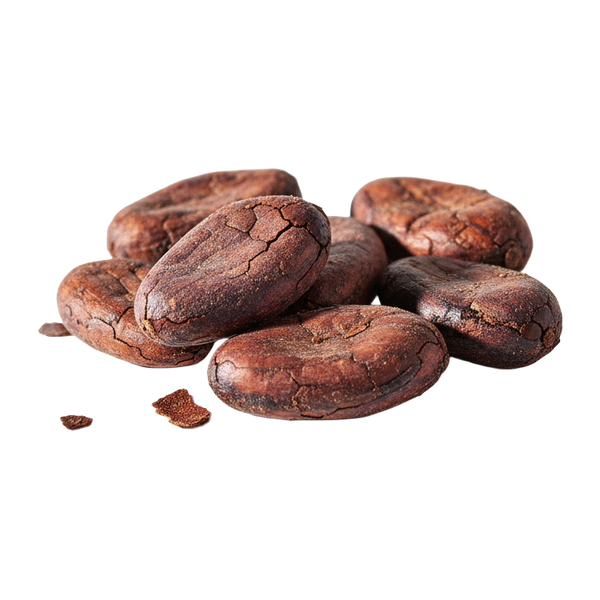 Cocoa