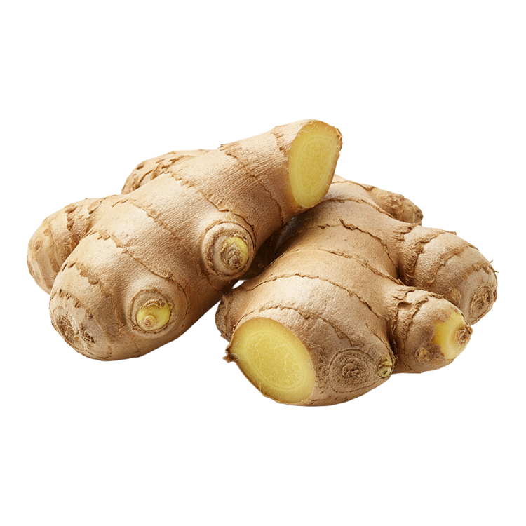 Ginger