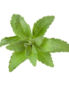 Stevia