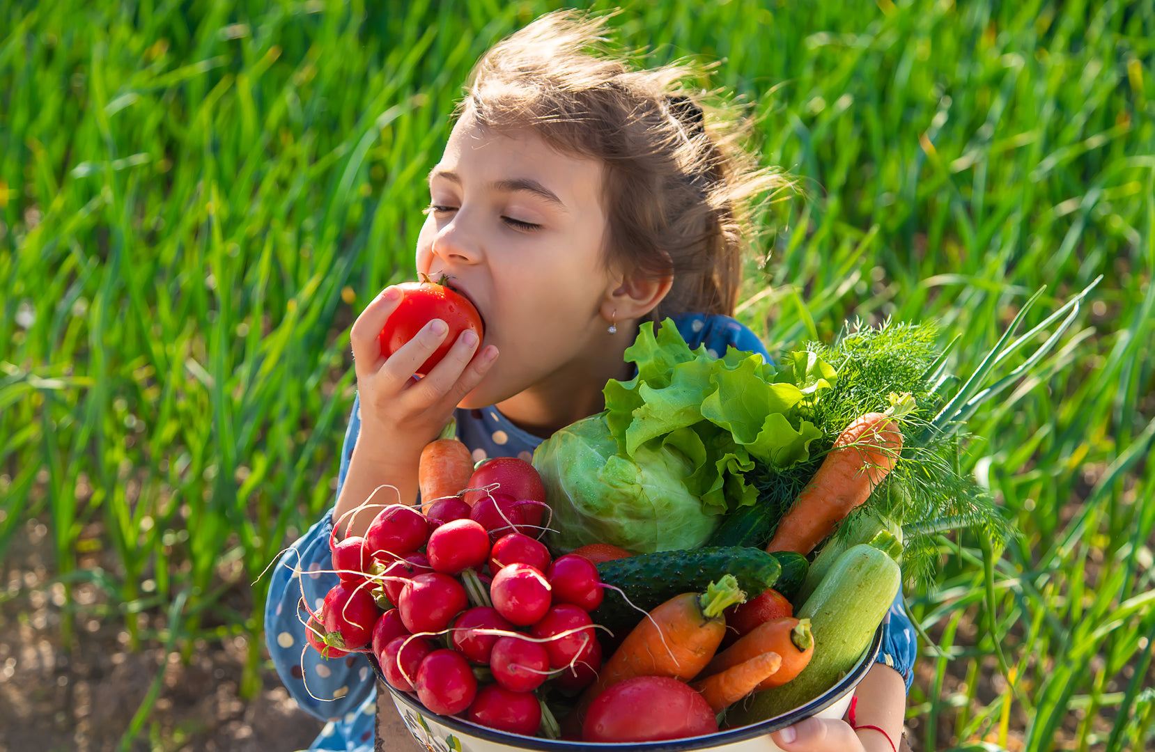 Eating the rainbow: why colour on the plate actually matters for your children