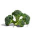 <p>Broccoli</p>