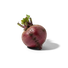 <p>Beetroot</p>