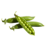 <p>Pea Protein</p>