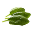 <p>Spinich</p>